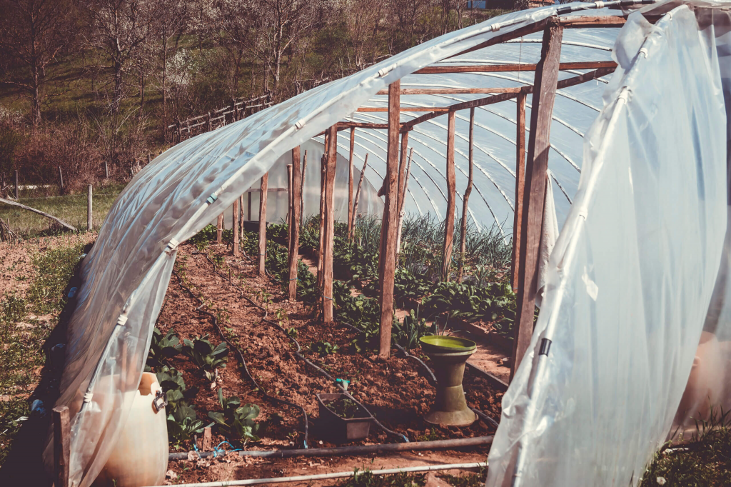 <strong>what temp is too cold for grow tent</strong>