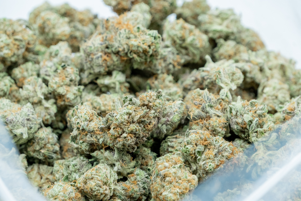 Unlock Your Inner Magic with Trippy Wizard Dispensary